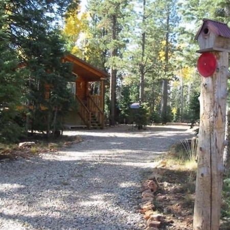 Adventure Awaits 3King Bed,2Bath Log Cabin In Heart Of Duck Creek Village! Exterior foto
