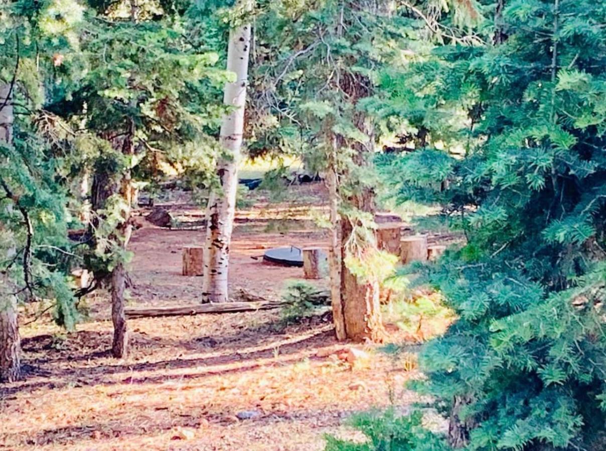 Adventure Awaits 3King Bed,2Bath Log Cabin In Heart Of Duck Creek Village! Exterior foto
